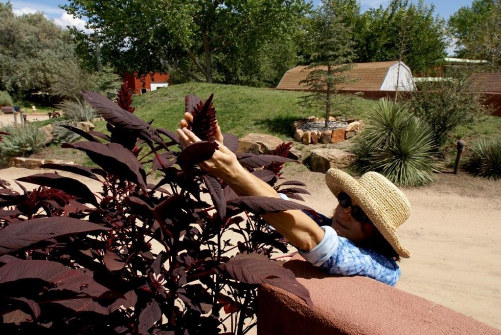 Sunrise Springs Inn And Spa (Adults Only) Santa Fe Esterno foto